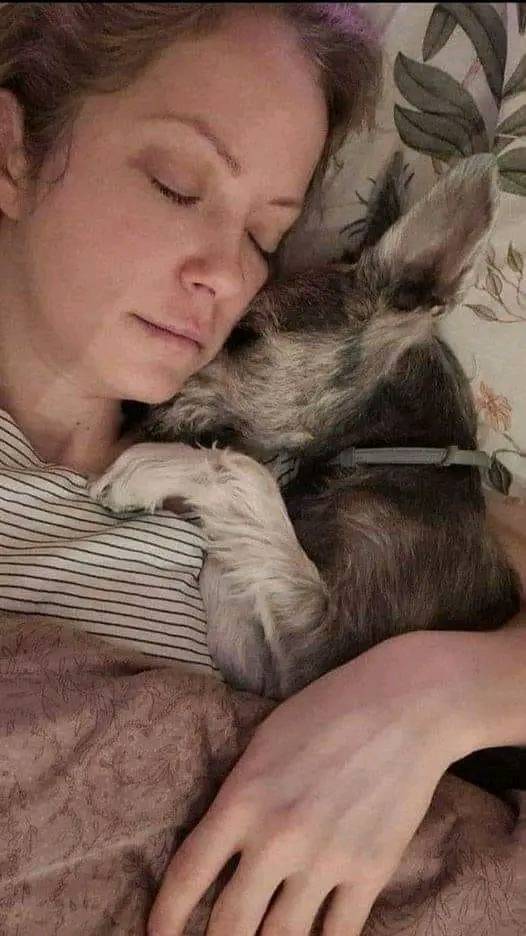 Dog Lovers tweet media