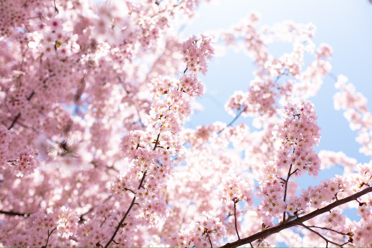 Eastern University tweet media