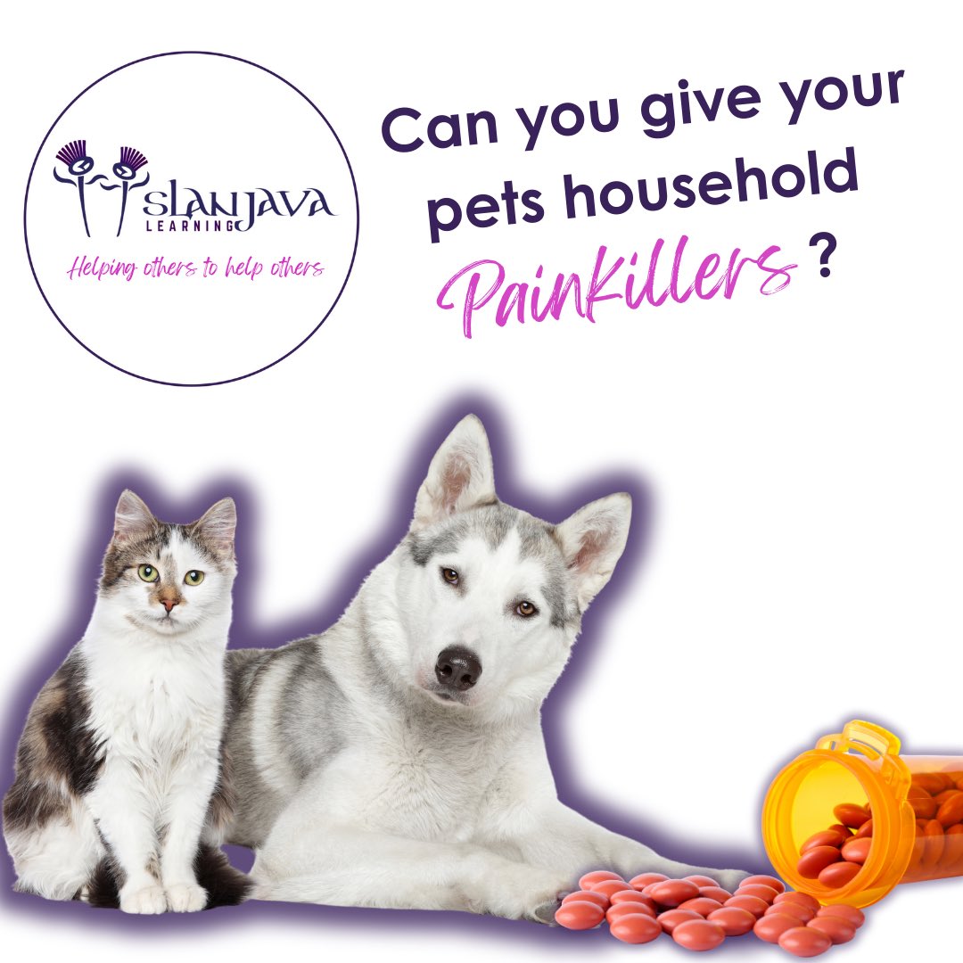 Slanjava_Learn's tweet photo. 🐾 Pets and Painkillers 🐶🐱💊

It’s tempting to reach for the medicine cabinet when your pet is in pain but did you know that common household painkillers like can be deadly for dogs and cats?

Find out more on our Pet First Aid Level 2 (VTQ) courses.
https://t.co/XhpAoRUU3S https://t.co/eYWM8UTmXT