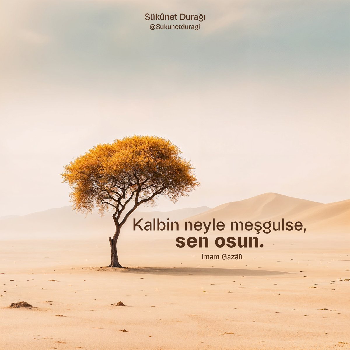 Sukunetduragi's tweet photo. Kalbin neyle meşgulse, sen osun.
— İmam Gazâlî 🌿

#Hikmet #İmamGazali #Tasavvuf #Kalp #Sözler #İslamiSözler #Sükunet #DerinDüşünceler #Maneviyat #GönülDünyası https://t.co/vdUoFjfRhV