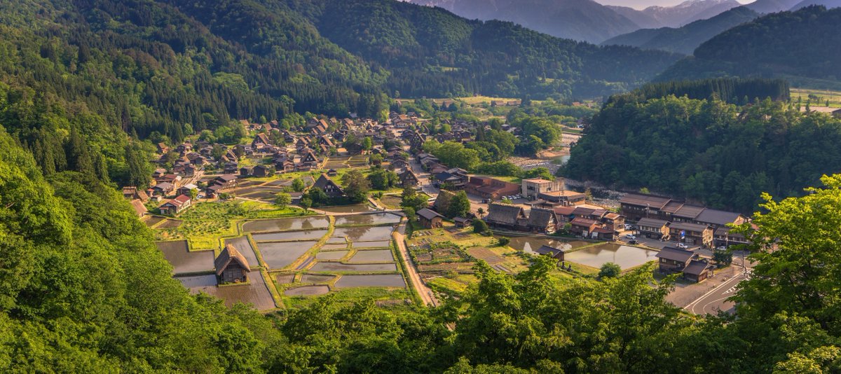 Shirakawa-go, a UNESCO site, is famed for its gassho-zukuri houses, with steep thatched roofs designed for snowy winters. Visiting in winter offers a magical view of snow-covered homes, while summer reveals lush rice fields. #ShirakawaGo #JapanTravel