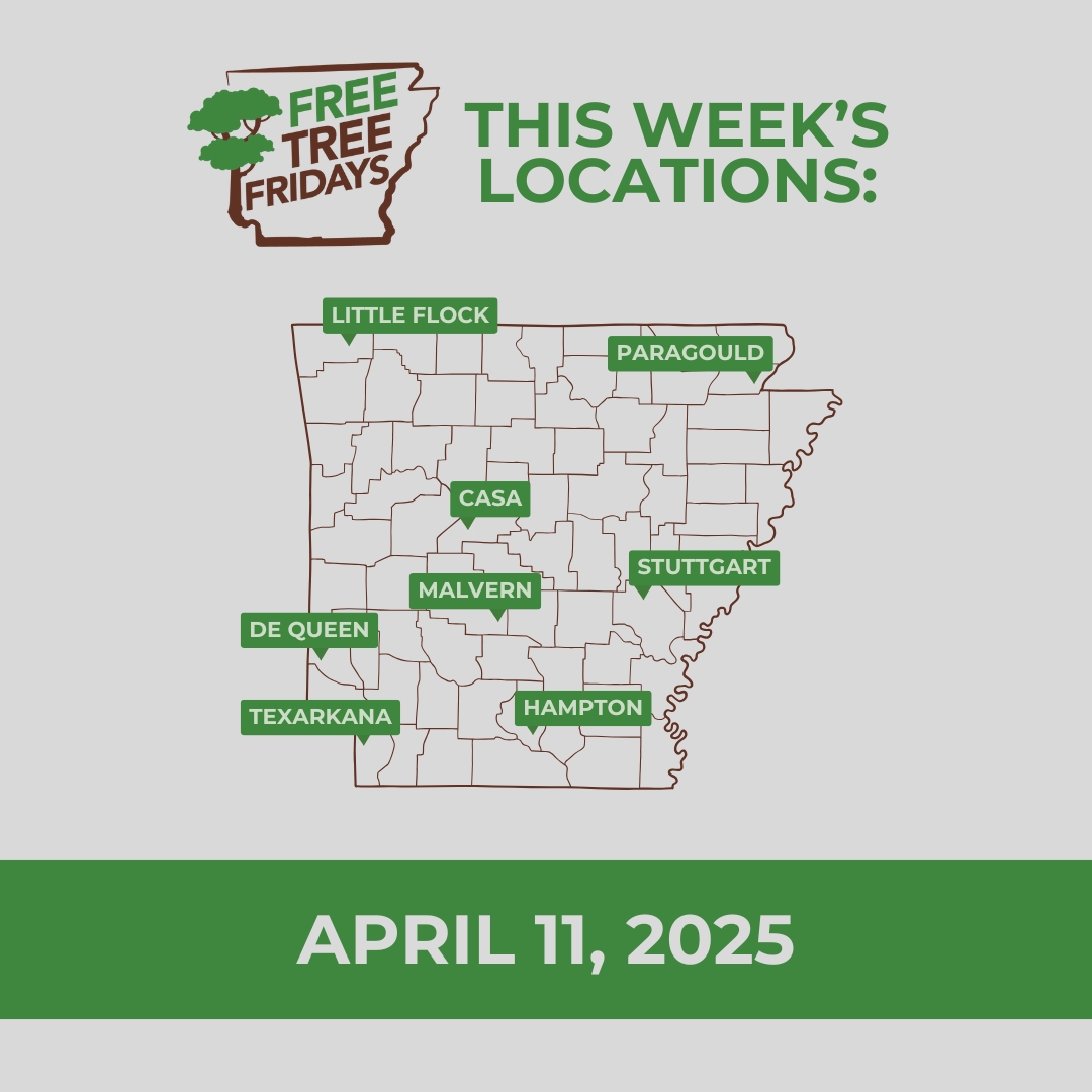 Free Tree Fridays continue this week! All giveaways are on a first-come, first-served basis and will run from 11 a.m. to 1 p.m., or until all seedlings are handed out.

Learn more: agriculture.arkansas.gov/forestry/urban…