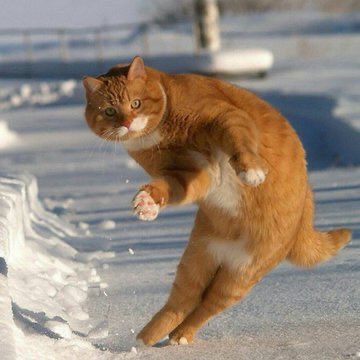 Kyambogo Duke tweet media