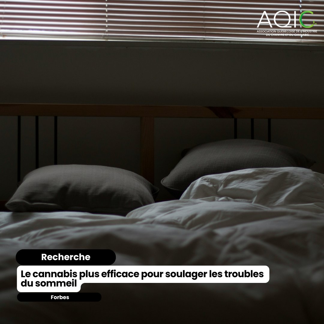 RECHERCHE | Selon les résultats d'un sondage, le cannabis médical permet de soulager les troubles du sommeil plus efficacement que les somnifères prescrits sur ordonnance et ceux vendus en vente libre.
Pour lire l'article, cliquez le lien en commentaires.

#cannabisqc
