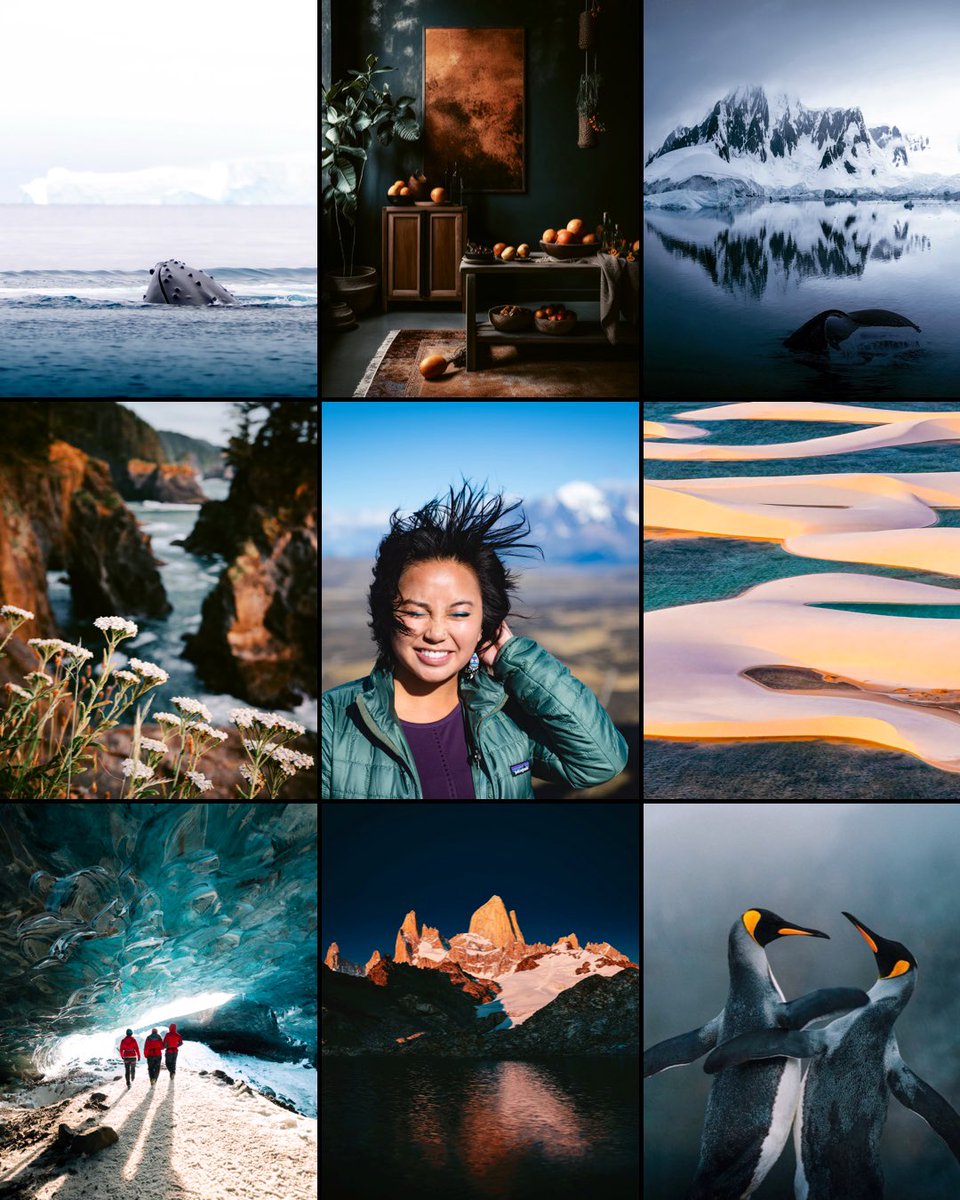 Rachel Suzanne Tien Wood tweet media