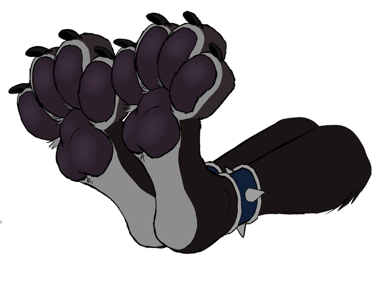 Mitsu/Jericho 🔜 Intermarche (@mitsu_mutt) on Twitter photo 