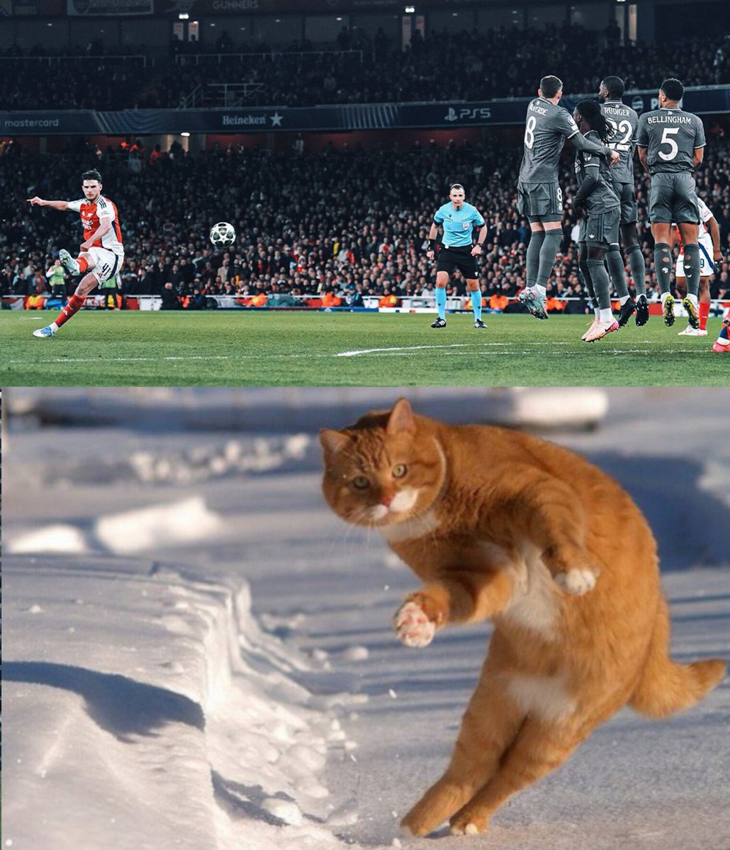 brasilgooners's tweet photo. https://t.co/70gheClKUv