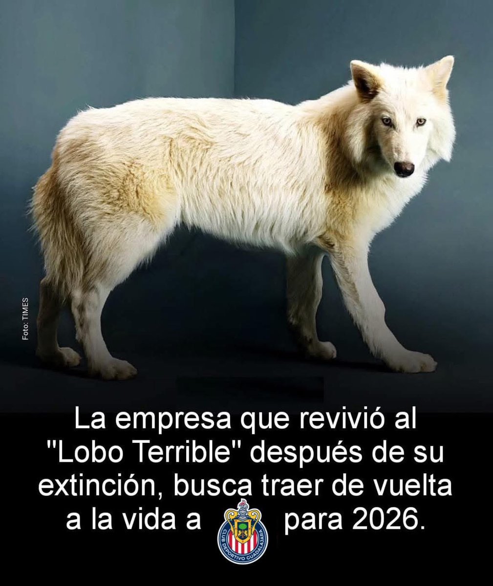 Gaspar_Sparco's tweet photo. 🙏🏻 https://t.co/PElvaNRvI9