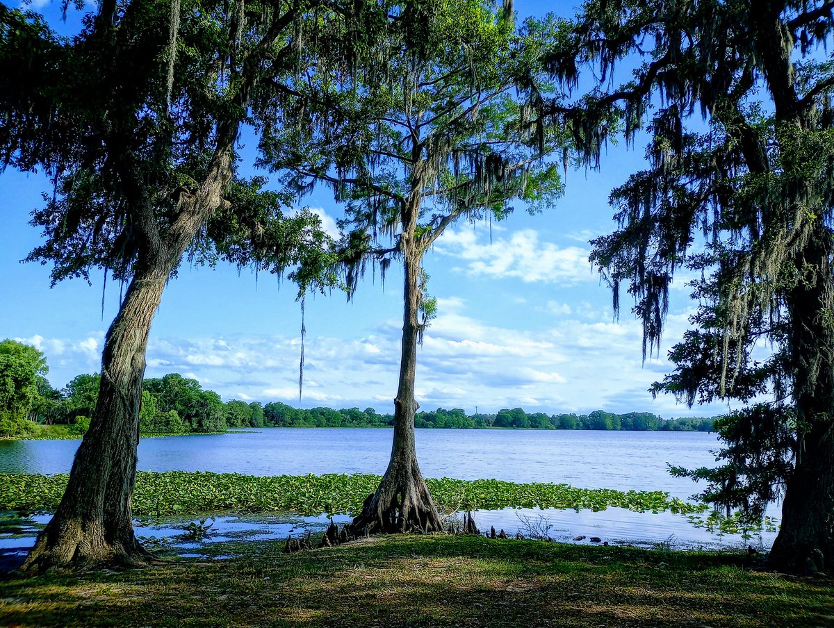 HauntFreak11's tweet image. Tuesday views 

- #OutForAWalk #ClearingMyHead #TrueBeautyInFrontOfMyEyes