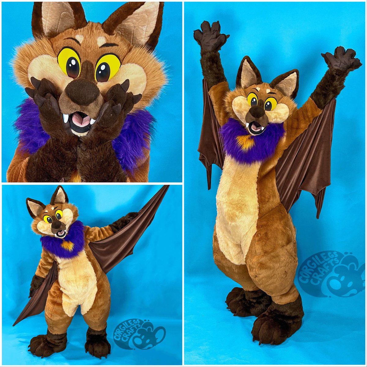 corgilegs's tweet photo. Say hello to my newest critter, Cider the bat!! 🦇 absolutely in love with this cutie pie!! One of the most huggable bats you’ll ever meet!! 

#fursuit #furry #fursuitcommission #fursuitmaker https://t.co/sf2leGRWPR