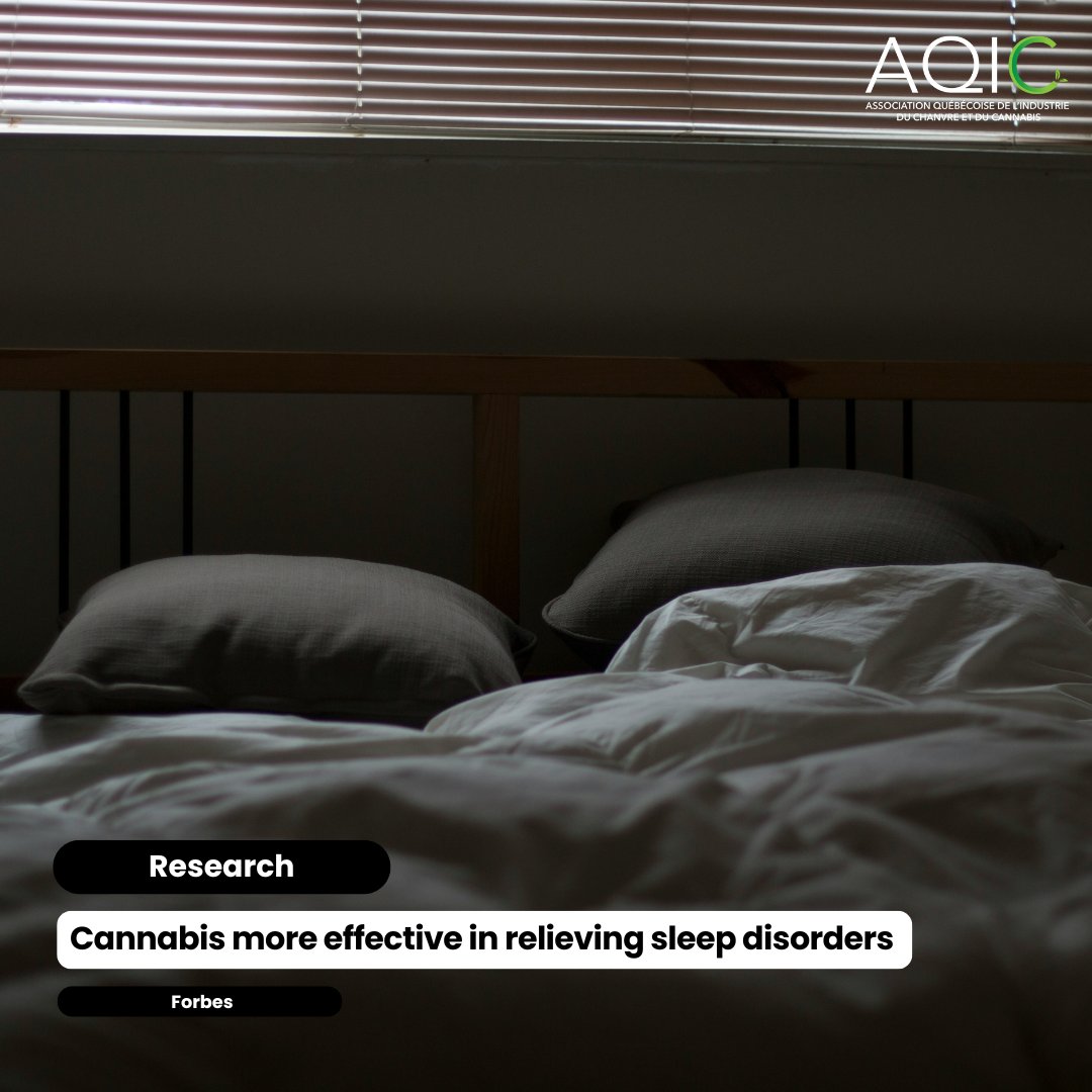 RESEARCH | According to a new survey, medical cannabis is more effective than prescription and over-the-counter sleeping pills in relieving sleep disorders.
To read the article, click on the link in the comments.

#cannabisqc