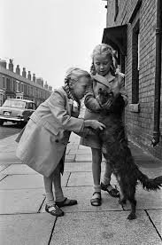 Image in tweet by Darshak Rana ⚡️