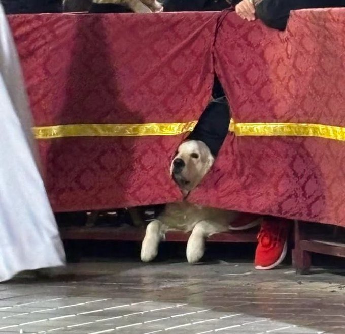 Yo apareciendo en Google por décima vez en un día para buscar el tiempo en Semana Santa