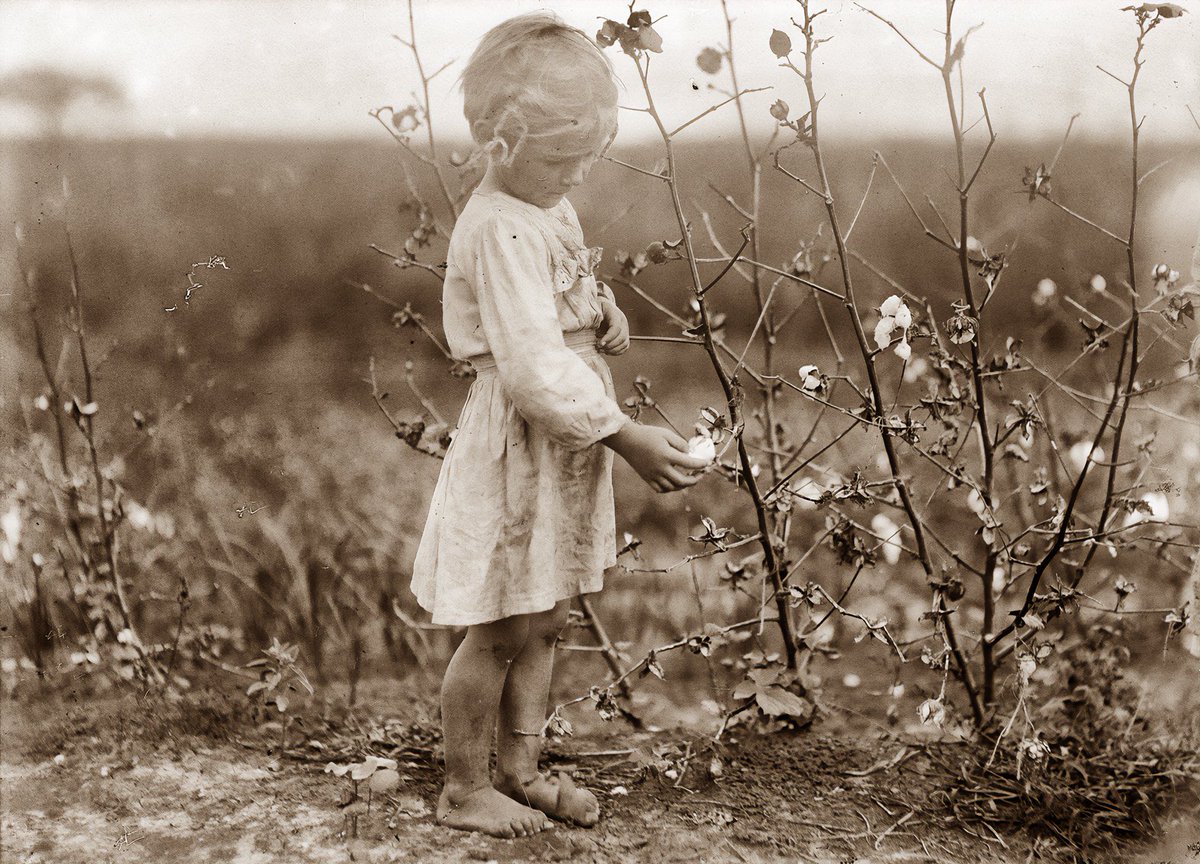 Y'all, yesterday I posted this photo of 4-year-old cotton picker Millie in Houston back in 1913 and said that Millie was a tough little girl. Several readers said she was also abused. I'd like to take a moment to address this, because it speaks to a larger issue and because I