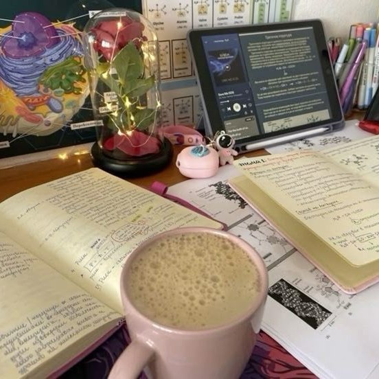 studysopa's tweet image. ⌕: #studytwt | #studytwtbr | #vestbulanda

     ⊹ soPa/soso | ela/dela
     ⊹ vestibulanda de psico 𐙚
     ⊹ foco: enem e fuvest

  𖹭: taylor swift, música, história, política e redação. 

     ⋆˚࿔  ♡ | ↻ = moots 𝜗𝜚˚⋆