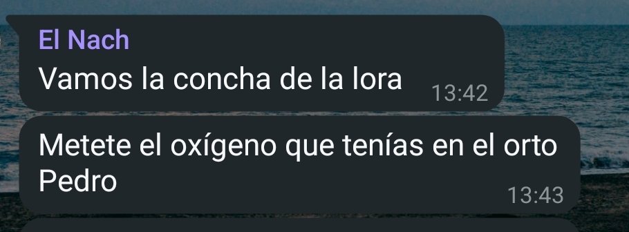 Candela tweet media