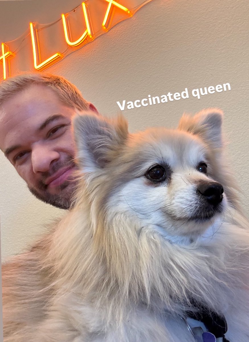 Nick DiRamio 📺 tweet media