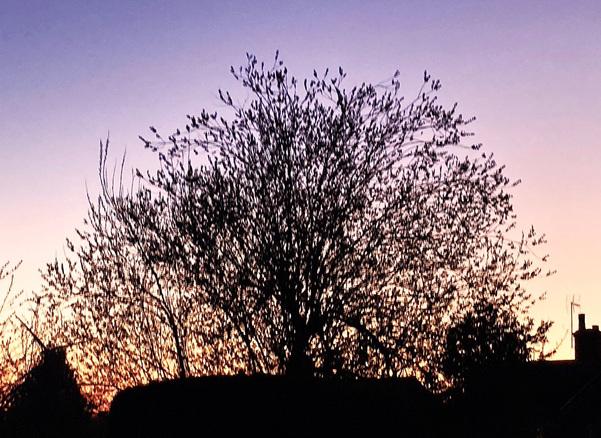 Goodnight everyone. Have a peaceful night and sleep well. Take care 🤗🕊️🥰💜🧡❤️