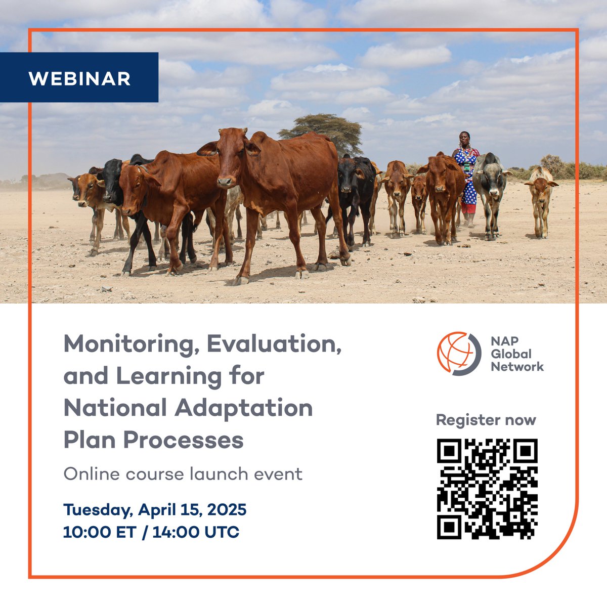 NAP Global Network tweet media