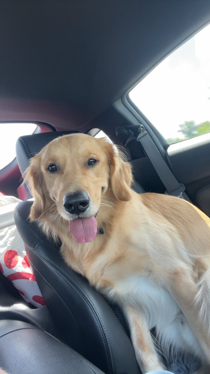 Redvines tweet media