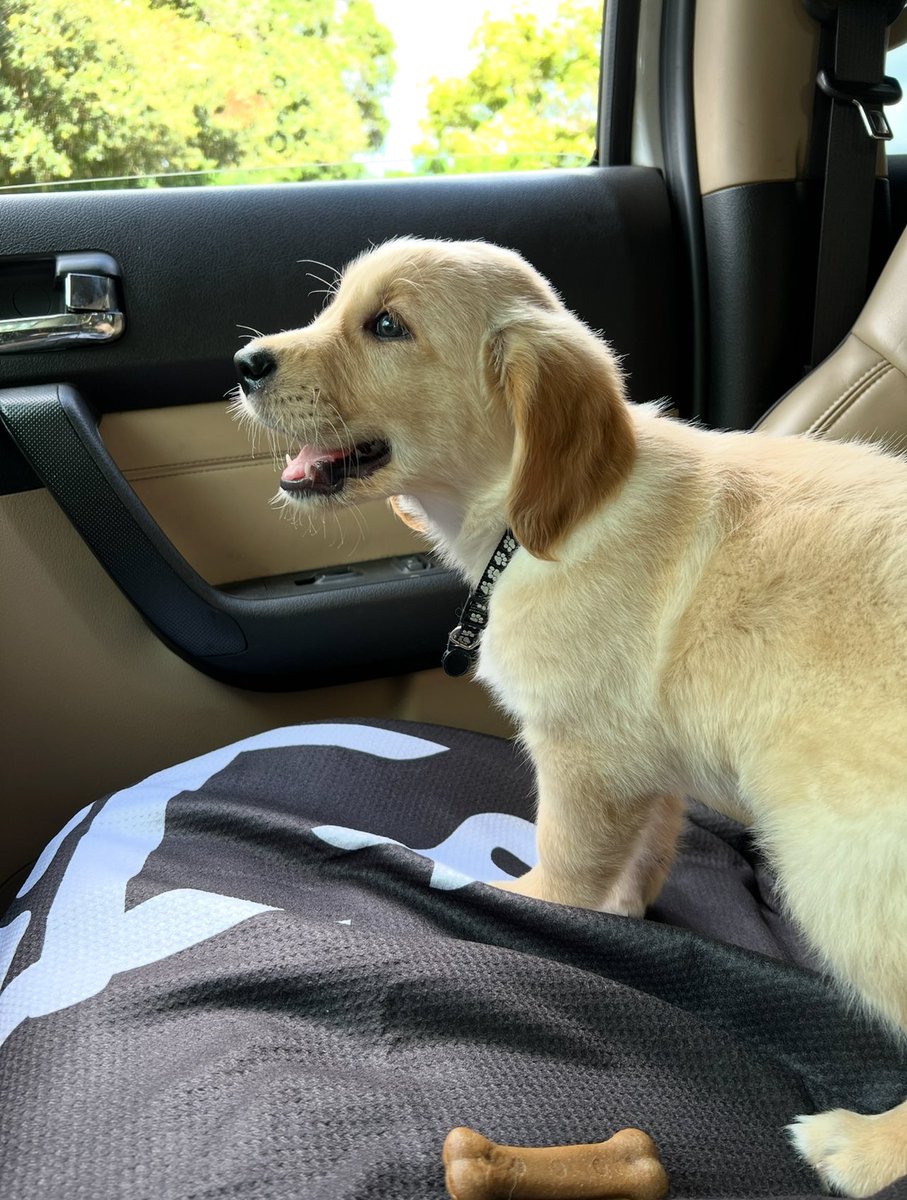 Redvines tweet media