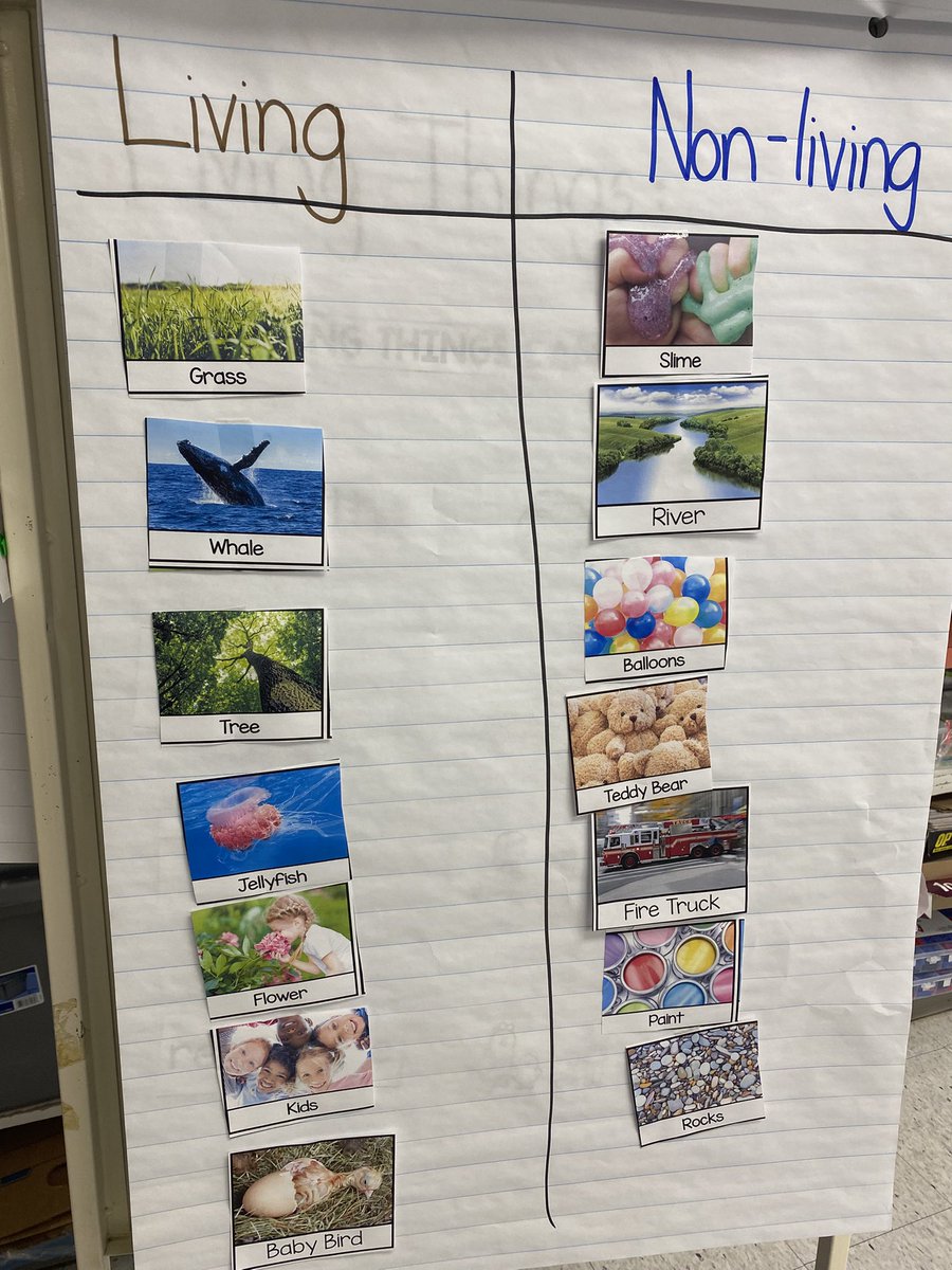 New science:  Living Things.  Today we explored living and non living things.