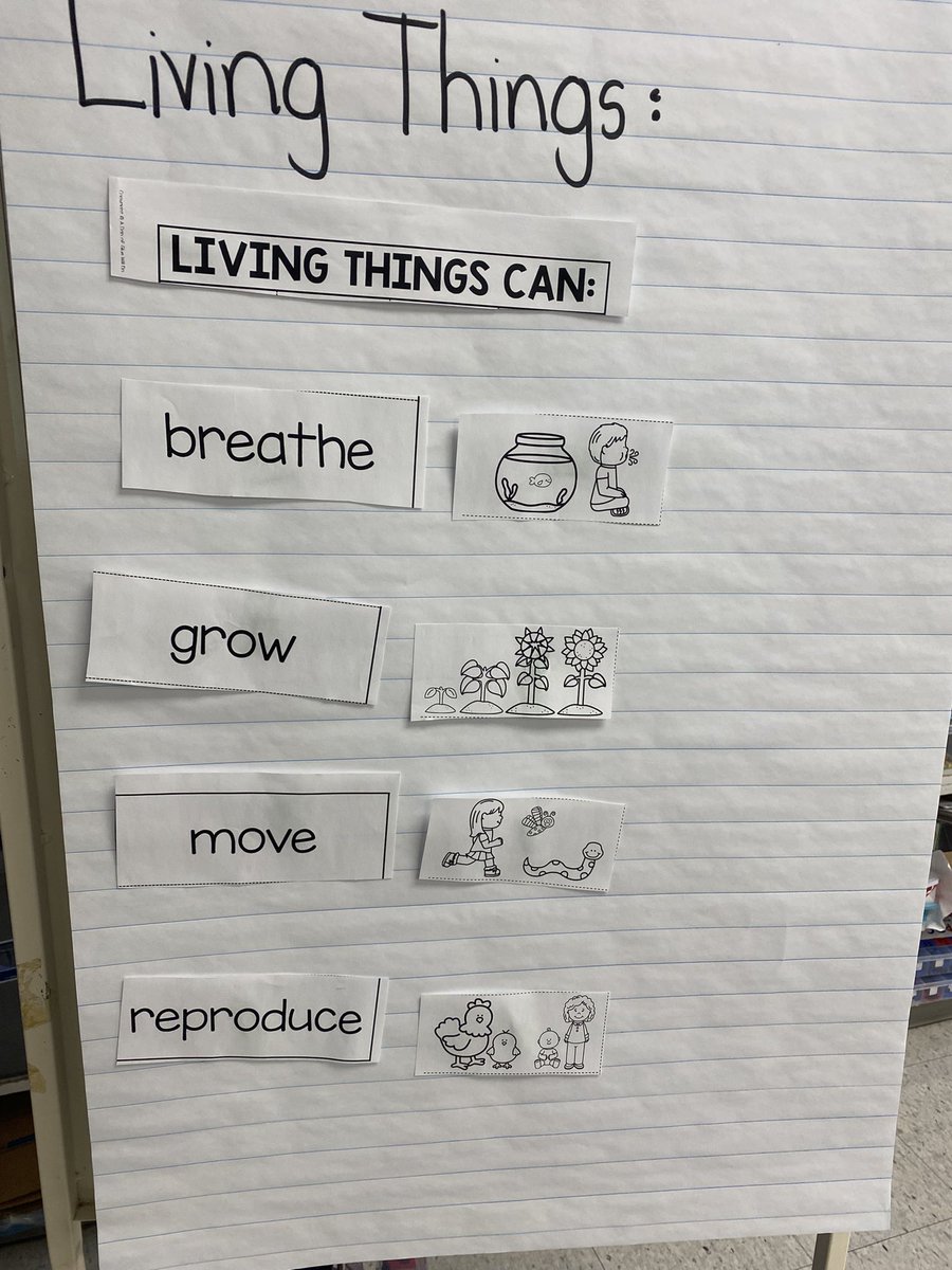 Mrs. Alati’s Grade 1 class tweet media