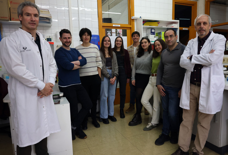‘Cells very similar to neurons obtained from human dental stem cells’ – <a href="/upvehu/">UPV/EHU</a>  researchers hope their discovery will advance cell therapy for neurodegenerative diseases like Huntington’s disease [Paper: https:/doi.org/10.1186/s13287-025-04134-7]: ehu.eus/en/web/campusa…