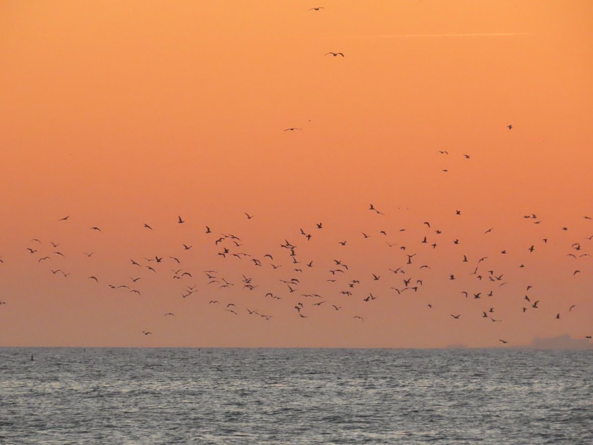 yvsmin_'s tweet photo. brighton sunsets never miss https://t.co/2ByXsns4S2