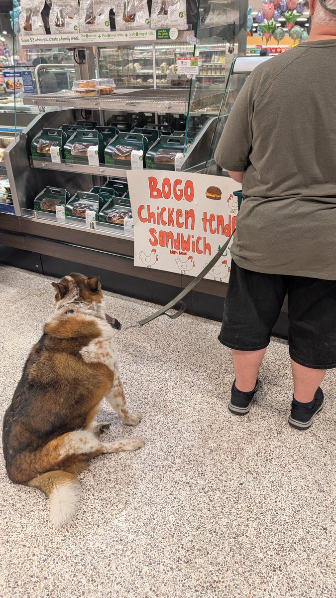 yanemarie's tweet photo. Hi, Publix. Just wondering if you're going to be enforcing that no pets policy within the store. @Publix @PublixHelps #1695 https://t.co/OnwWpNMRR1