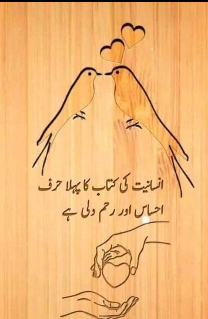 Syedazaynab72's tweet photo. انسان یعنی احساس و رحم دلی💓 https://t.co/DWZpIrH7tF