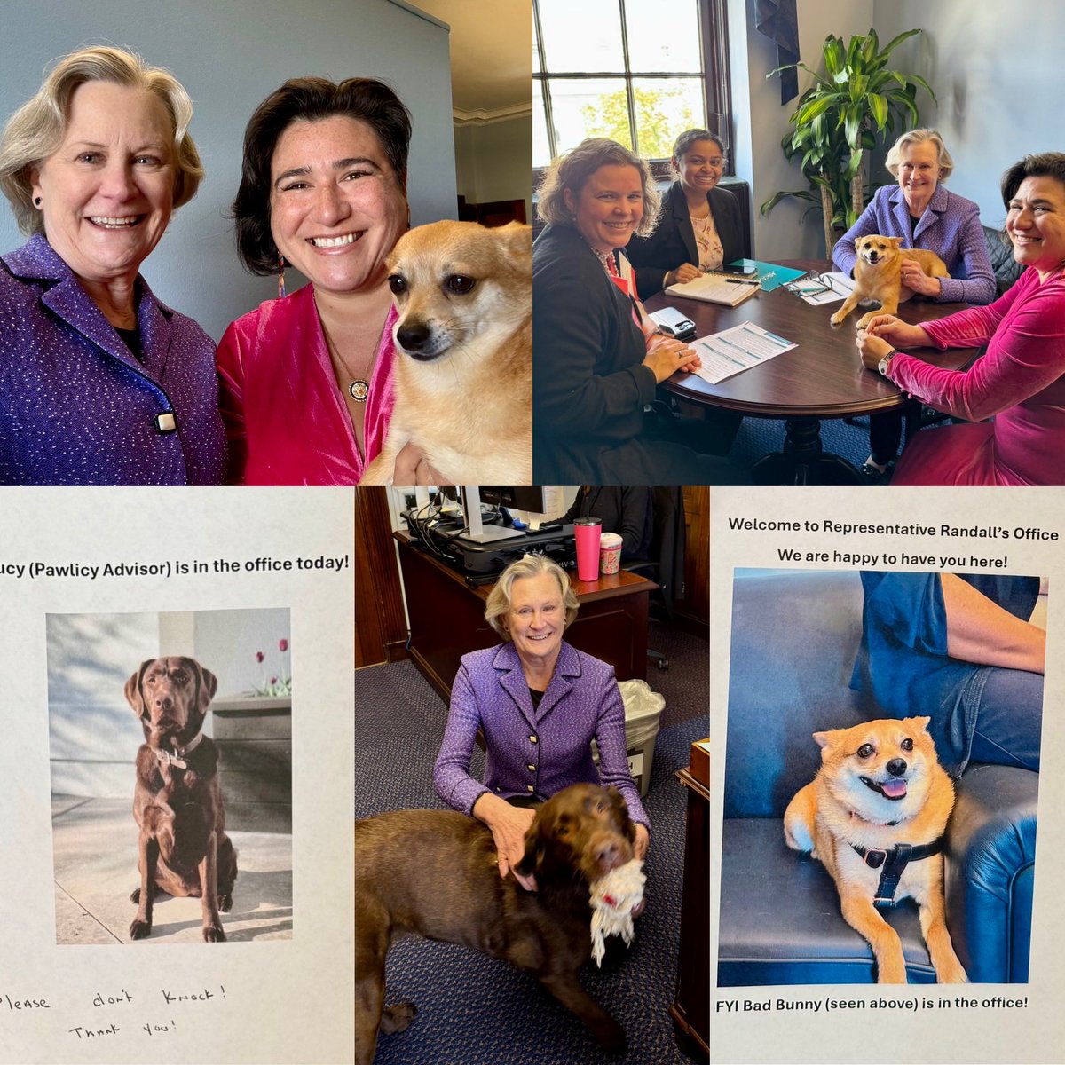 Julie Gralow tweet media