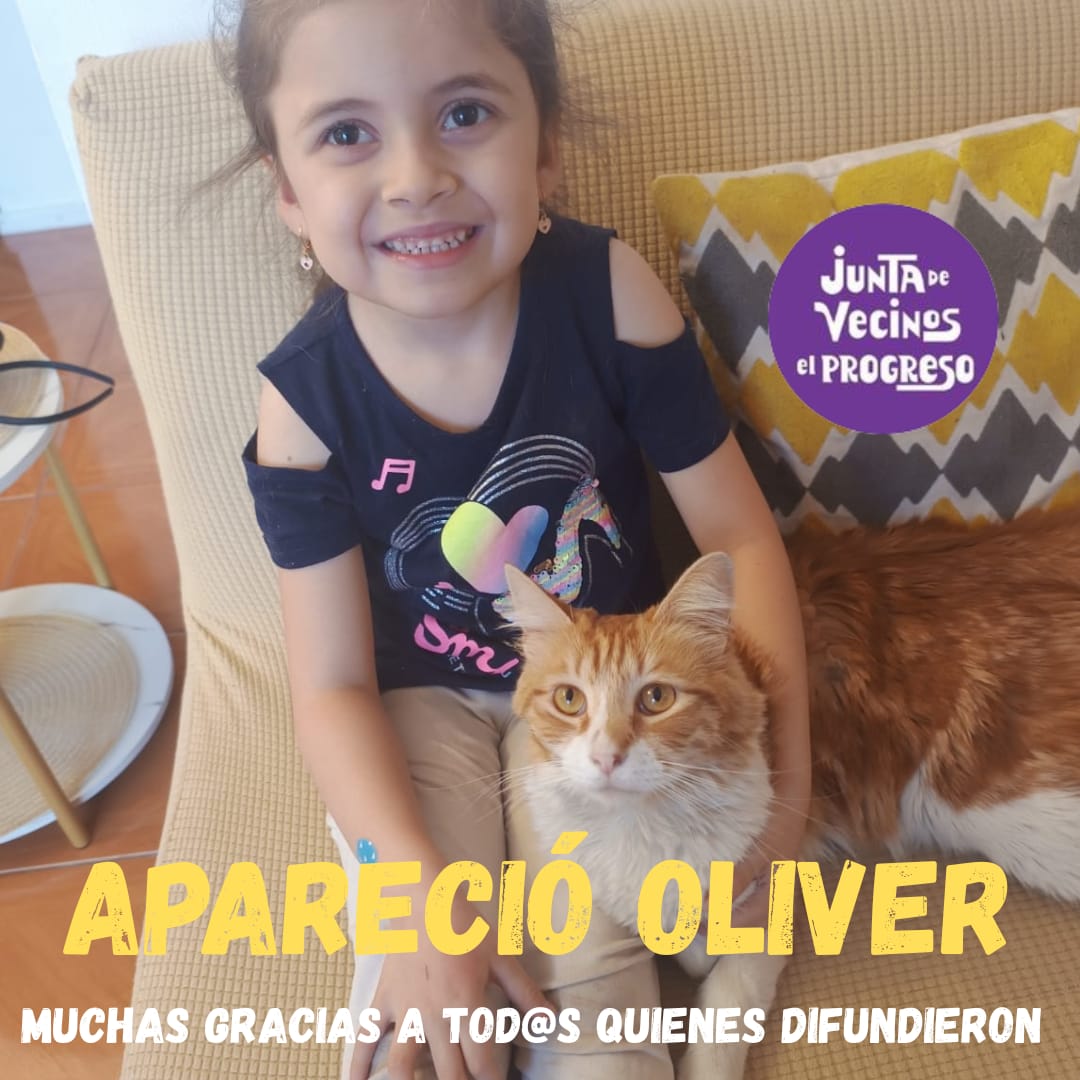 JJVV El Progreso Stgo Centro tweet media