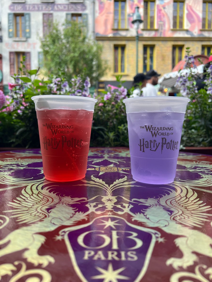 Butterbeer just got some company! Check out these new drinks, from Café L’air De La Sirène in The Wizarding World of Harry Potter - Ministry of Magic:

🍹 Dirigible Plum Juice Mocktail
💜 Lavender Lemonade