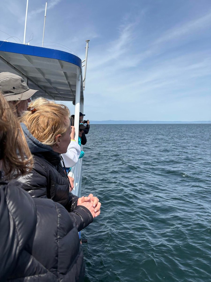 😁 Thrilled to have so many returning attendees at ELEVATE 2025! This year we surprised them with a drawing for 2 enhanced experiences...

Latrice Lawson won some local Monterey goodies. 🍷🍬

Julie Taylor  won an upgrade with a ticket to the Whale of A Time - whale watching. 🐳