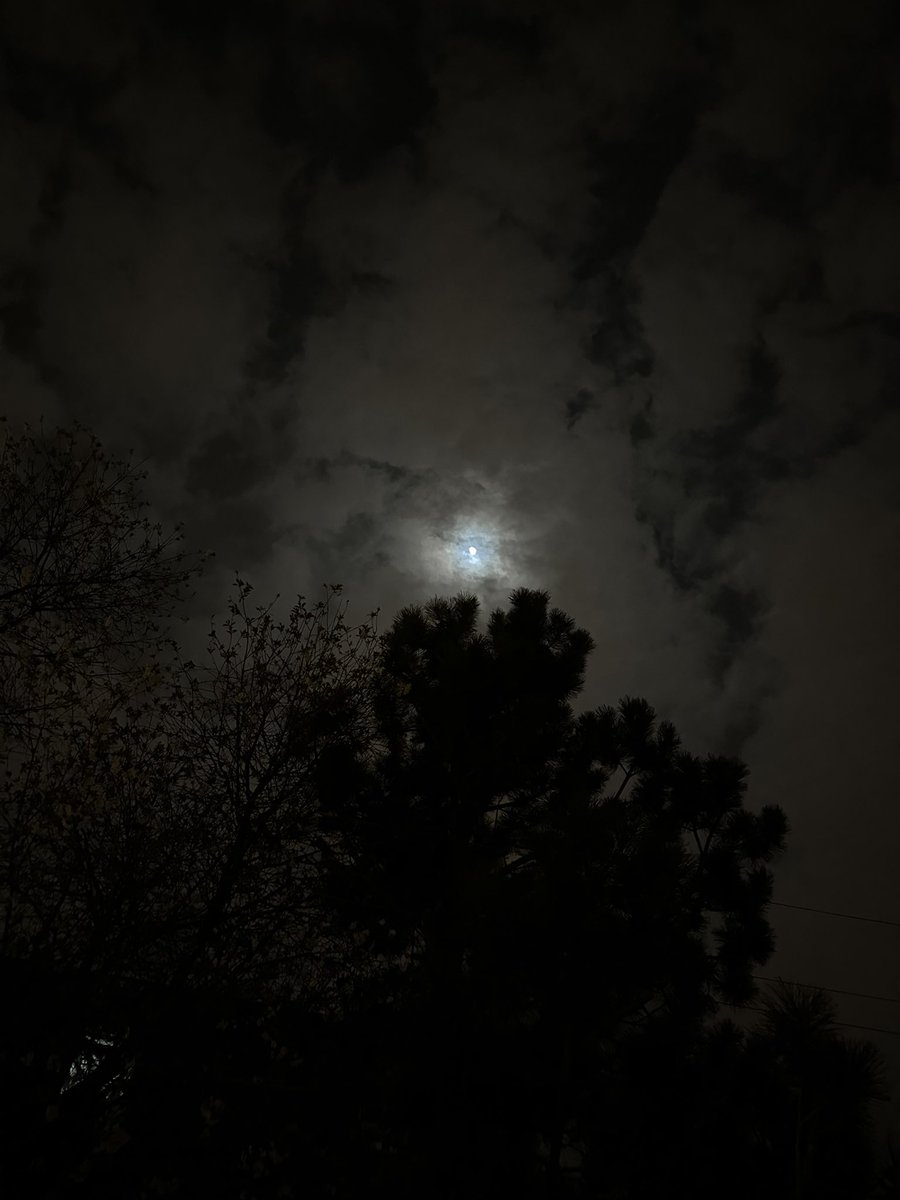 شوفوني إبداعكم