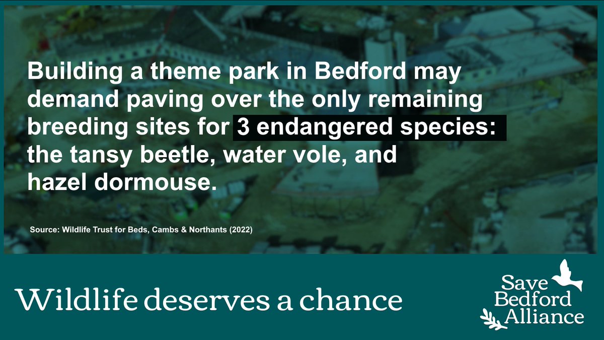 savebedford's tweet photo. Did you know? Bedford is the last remaining habitat for three different endangered species. It might not be for long, after Universal Studios Great Britain. https://t.co/NF5IhiFUyX