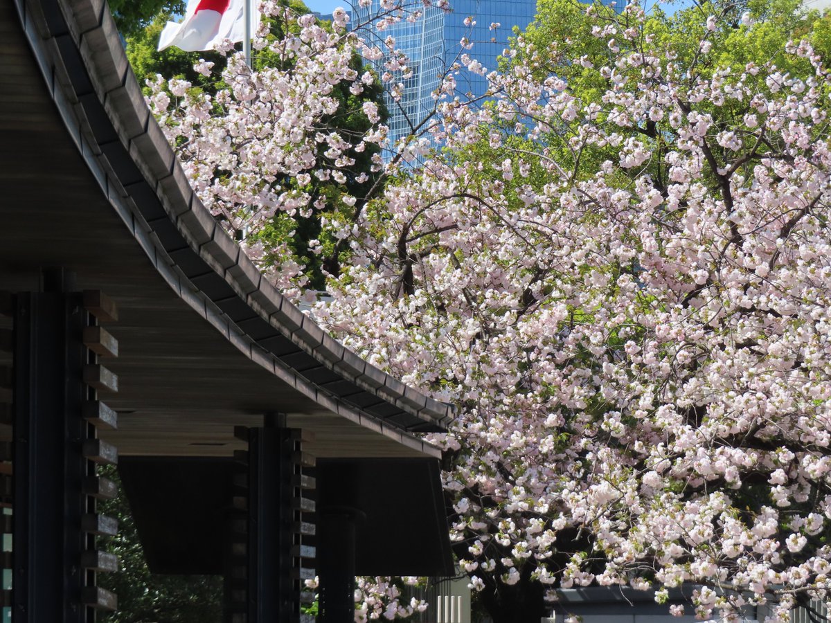 国民公園協会 皇居外苑 広報 on X: 国民公園協会 皇居外苑 広報 on X: