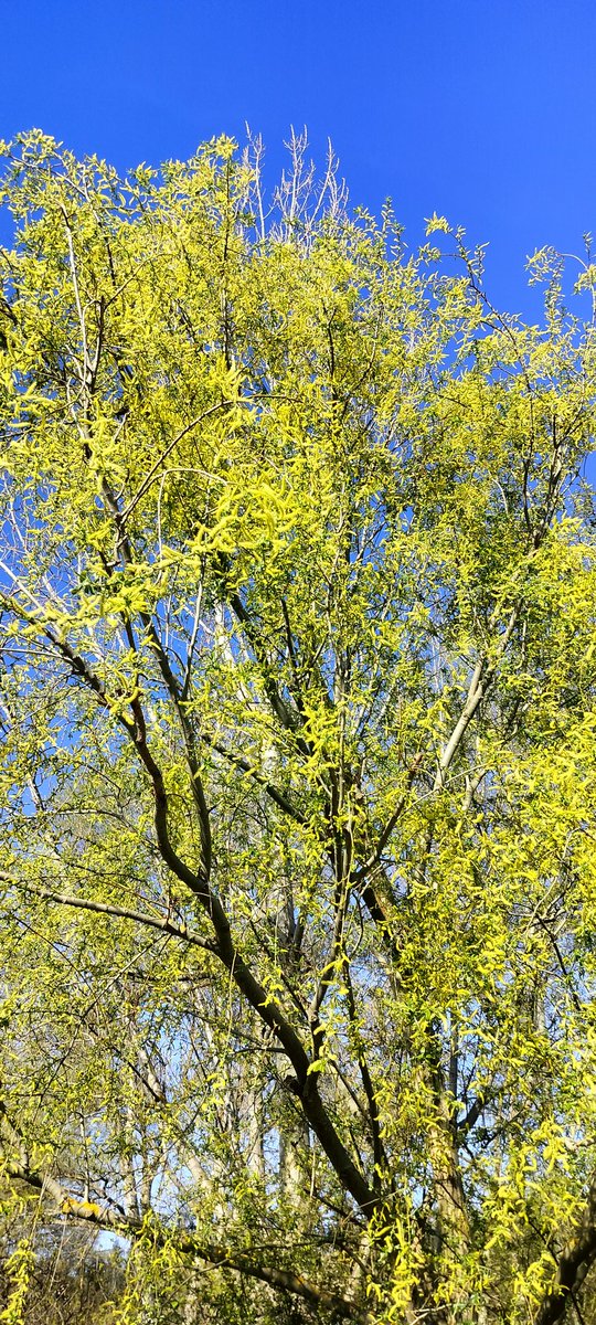 Juan Andrés Oria de Rueda de Salgueiro tweet media