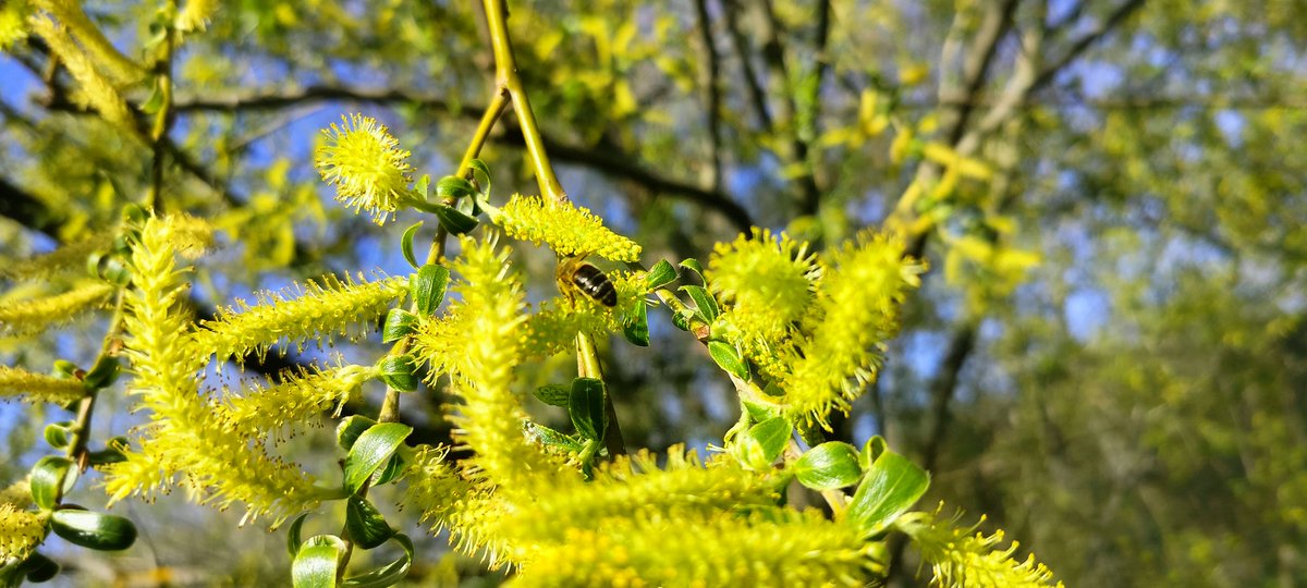 Juan Andrés Oria de Rueda de Salgueiro tweet media