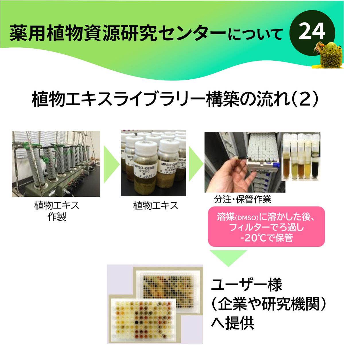 国立研究開発法人医薬基盤・健康・栄養研究所(NIBN 国立研究開発法人医薬基盤・健康・栄養研究所(NIBN