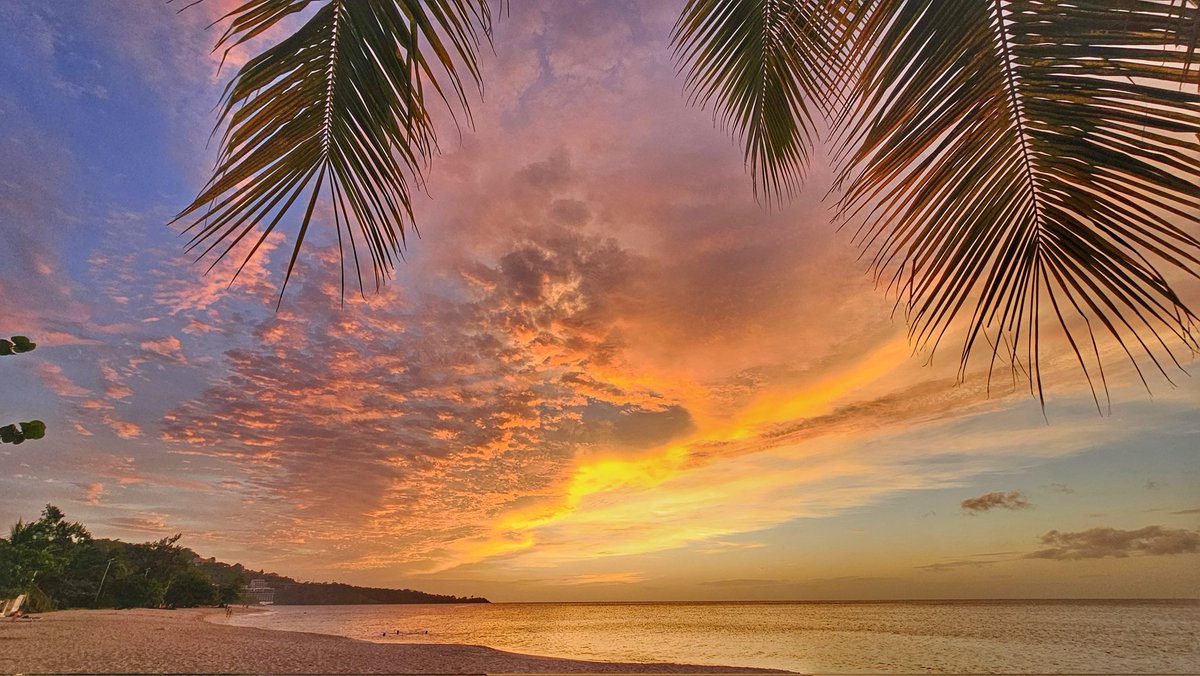 Beach Bar Bums 🍹🌞🌴🍍 tweet media