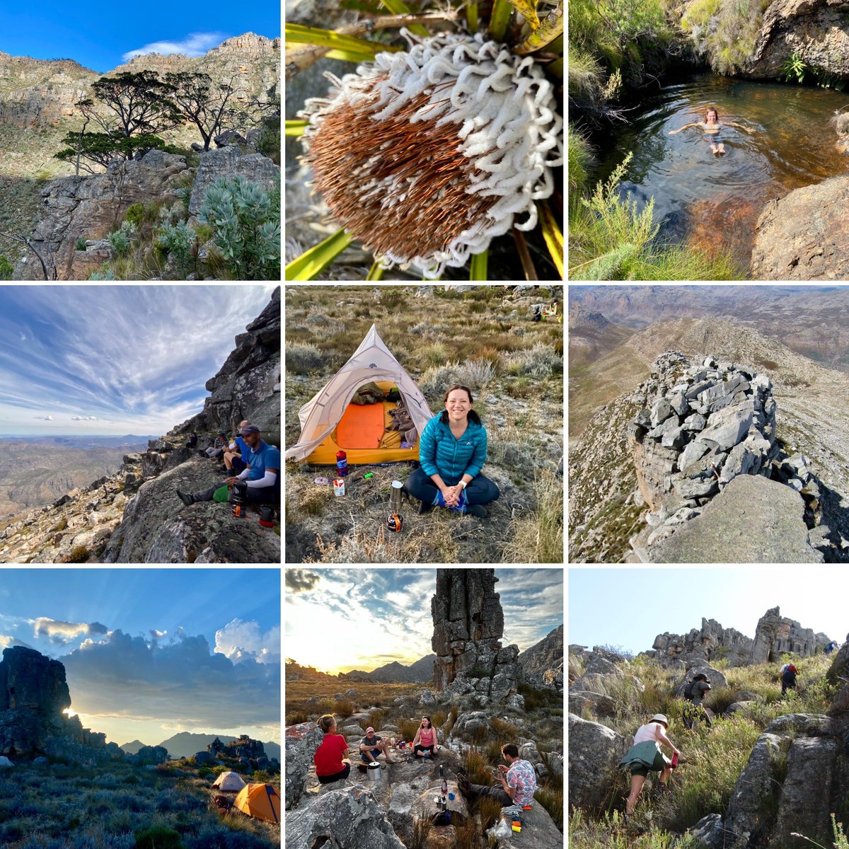 Cilnette tweet media