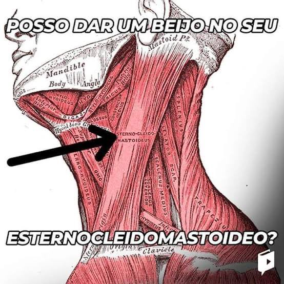 Biologia Braba tweet media