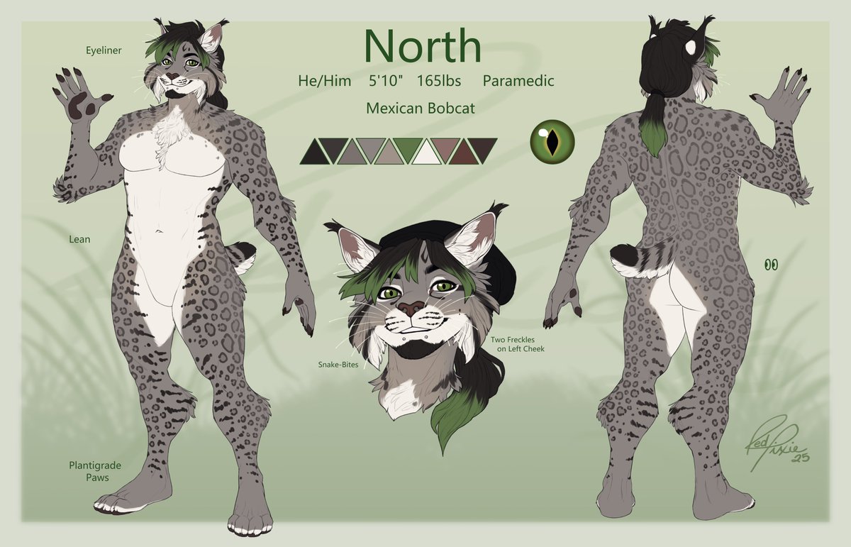 Northern Blaze tweet media