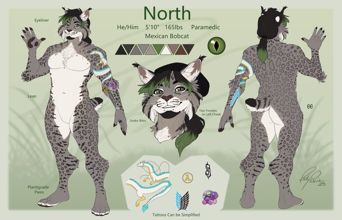 Northern Blaze tweet media