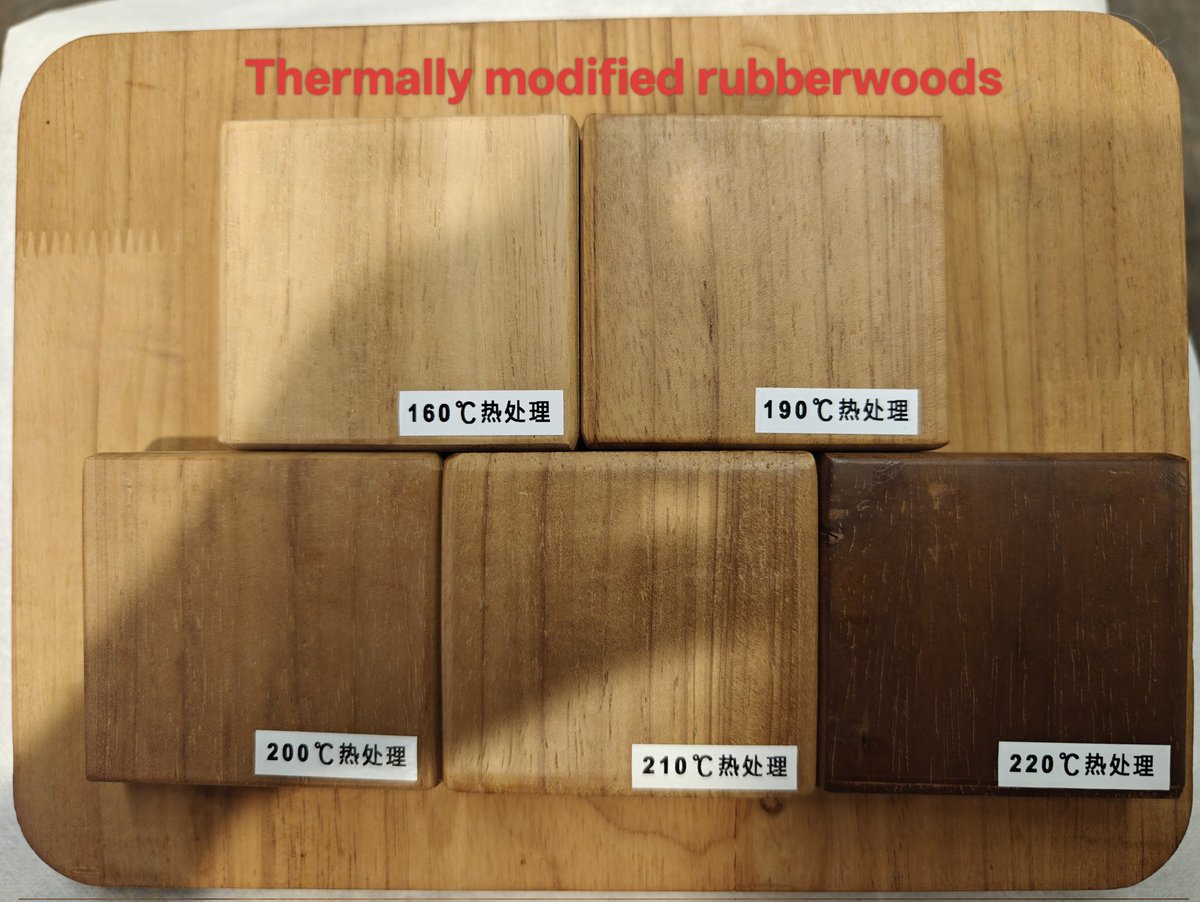 abtmac's tweet image. Thermally modified rubberwoods, thermo rubberwood, #rubberwoodtreatment #thermaltreatment #thermalmodification