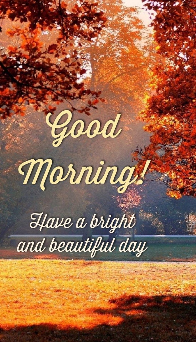 Hello X Family, Good Morning 🌞 
Foolw for follow back 🫰
#บิววราภรณ์ #Crypto #TheWhiteLotus #ChampionsLeague