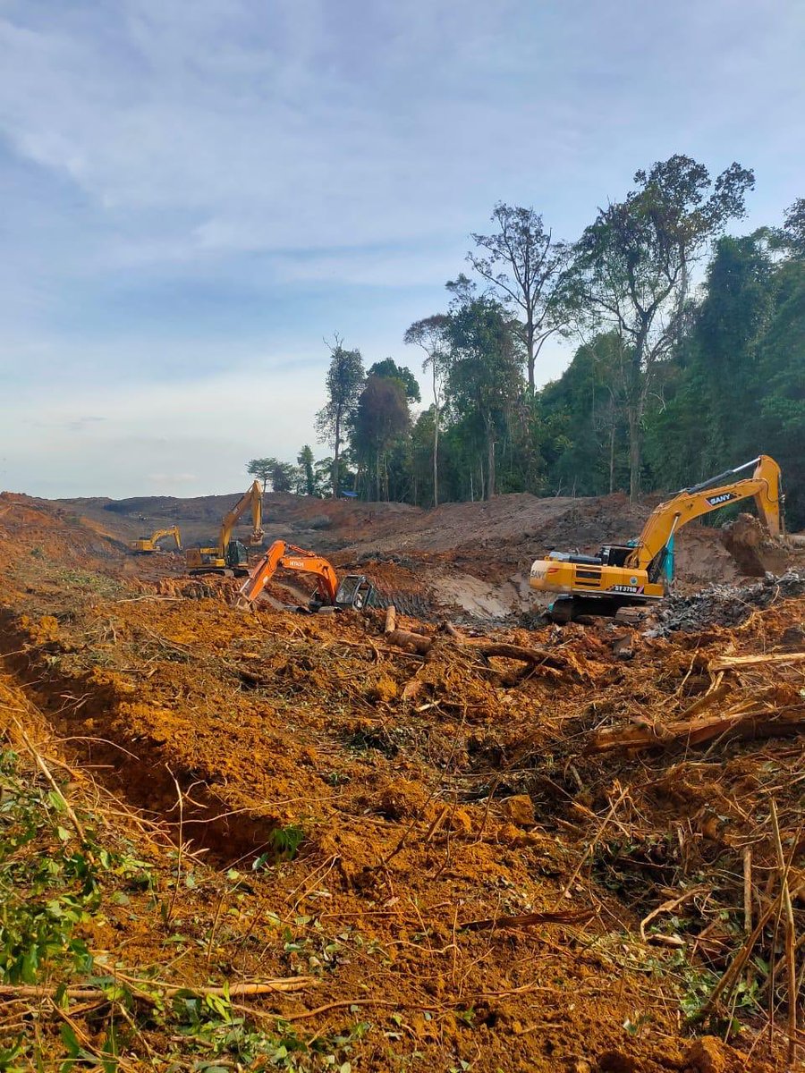 logos_id's tweet photo. ‼️ALERTA: HUTAN UNMUL DIHANCURKAN TAMBANG ILEGAL‼️

Hutan Pendidikan Universitas Mulawarman (UNMUL), kawasan vital untuk penelitian, pendidikan, dan konservasi, dihancurkan oleh tambang ilegal! 

Dalam semalam, 32.600 m² lahan dibabat rata dengan alat berat. https://t.co/vOpMWZYAn5