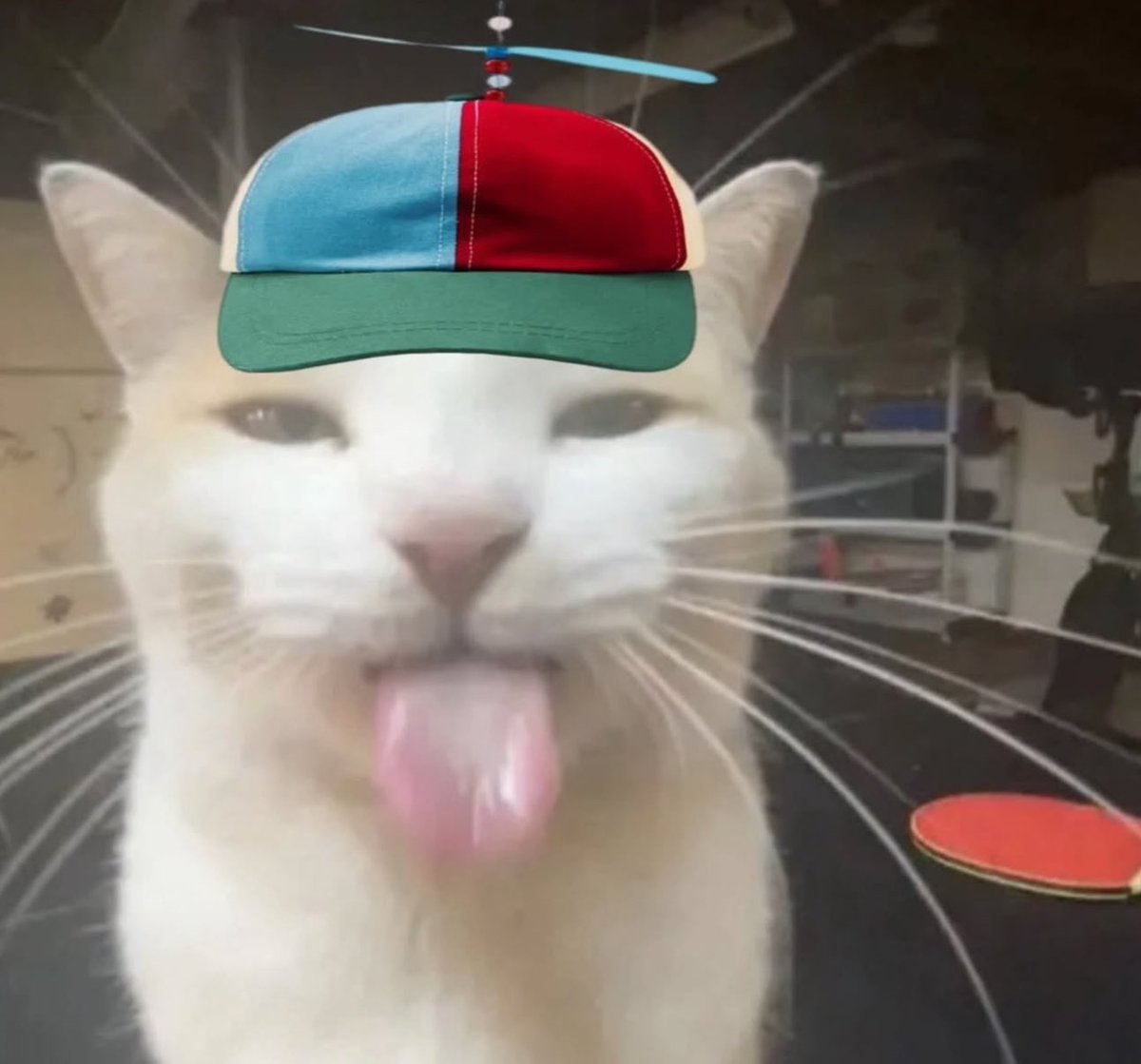 Reflectery tweet media